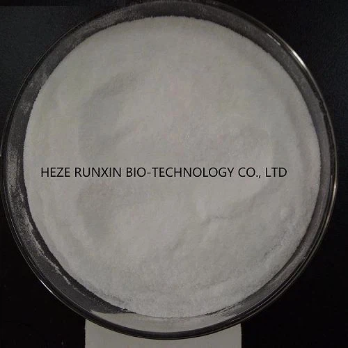 product-500-500 product-500-500